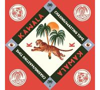 chasing / wasting time