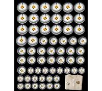 TBCDS 60 Bottoni a Margherita (3 Modelli da 20 Cad.), Design Compatto con Fori Standard per Cucito Resistente, Ideali per Restaurare Capi e Creare Accessori DIY Unici