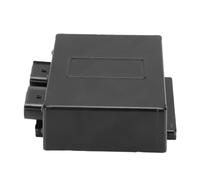 Tbest Amplificatore per Barca a Motore Modulo Amplificatore Audio Ricevitore Audio Marino 12 Pin Plug and Play Marchio Sostitutivo Diretto con Premium per GTX RXT GTR Wake