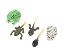Tbest Ciclo di Crescita del Girino, Apprendimento di Biologia del Modello in PVC a 5 Stadi con Figurine Dettagliate, Costruzione per Bambini per Uso Educativo