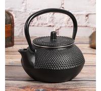 Tbest Teiera in Ghisa con Filtro, Bollitore da 0,3 L | Materiale in ferro resistente, perfetto per la casa, migliora la preparazione del tè, design elegante, facile da pulire