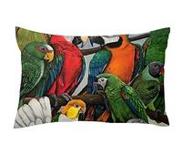 TBOUOBT Federe per cuscini in morbido velluto Federe per cuscini rettangolari per divano letto auto,Vintage Art Pappagallo Animale Moderno