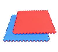 TBP095 Tappeto puzzle tatami 100x100x2 cm - 1 Mattonella pavimento gommato palestra spessore 2 cm - Tatami palestra tappeto gommato, Rosso/Blu