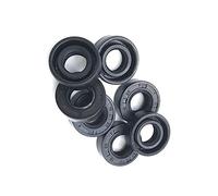 Tc paraolio Nitrile Coperto a doppio labbro con la giarrettiera Primavera, 16X24X5mm 2Pcs