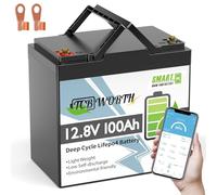 TCBWORTH LiFePO4 12V 100Ah Bluetooth Batterie al Litio 100A BMS, a Bassa Temperatura e 4000+ Ciclo Profondo, 1280Wh per Camper, Barca, Casa, Kit di Pannelli Solari, Campeggio