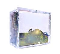 TCG Cases custodia in acrilico adatto a Pokemon Booster Box Display moderno e vintage WOTC Teca acrylic case Plexiglass Protezione