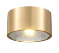 TCHAUSGZOZ Faretto a LED rotondo montaggio superficiale Faretto a soffitto in ottone spazzolato da 3 pollici Faretti COB antiriflesso da 5 W 7 W 12 W Faretto a cilindro a montaggio superficiale(7w,W
