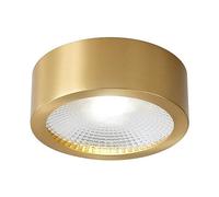 TCHAUSGZOZ Faretto da incasso in ottone Faretto a LED for montaggio superficiale Faretti cilindrici a soffitto Apparecchio di illuminazione for corridoio rotondo Faretti direzionali in rame for soggio