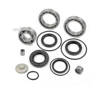 TcHUYAn Kit guarnizioni cuscinetto differenziale posteriore tappo di riempimento O-ring for 300 TRX300 TRX300FW 2x4 4x4 1988-2000