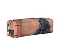 Tcoay Astuccio portapenne cilindrico portatile con cerniera in pelle, borsa per cosmetici,Cane Corso Grandi Cani Neri Animali Domestici