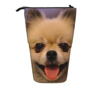 Tcoay Astuccio portapenne telescopico con stampa di un felice Pomerania a pelo corto, in piedi, portapenne, cancelleria