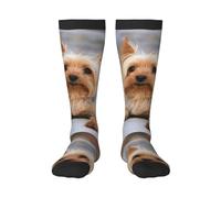 Tcoay Calzini caldi per adulti per uomo e donna, calze sportive in poliestere, ritratto di uno Yorkshire Terrier in miniatura, foto di Yorkie