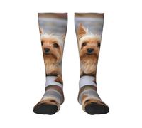 Tcoay Calzini caldi per adulti per uomo e donna, calze sportive in poliestere, ritratto di uno Yorkshire Terrier in miniatura, foto di Yorkie