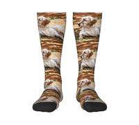 Tcoay Calzini caldi per adulti per uomo e donna, calze sportive in poliestere, setter inglese, autunno, animali domestici, cani