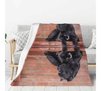 Tcoay Coperte decorative in flanella, coperte in peluche per letto, divano e viaggio, Cane Corso, cani neri di grossa taglia, animali domestici