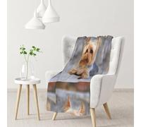 Tcoay Ritratto di uno Yorkshire Terrier in miniatura, foto di una coperta decorativa, coperte per divano letto, coperta da viaggio 30x40 pollici