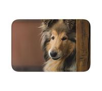 Tcoay Tappetino antiscivolo per pavimento, assorbente, per bagno, zerbino, tappeto, cane, Rough Collie, Lassie, cani grandi e soffici, animali domestici