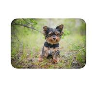 Tcoay Tappetino antiscivolo per pavimento, assorbente, per bagno, zerbino, tappeto, Yorkshire Terrier, cuccioli, animali domestici, cani