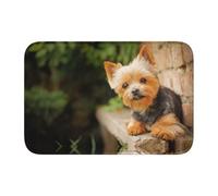 Tcoay Tappetino antiscivolo per pavimento, assorbente, per bagno, zerbino, tappeto, Yorkshire Terrier, motivo: Bokeh, simpatici cani da parete