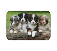 Tcoay Tappetino da bagno Overlock, zerbino, tappeto antiscivolo, assorbente, decorazione per pavimenti, quartetto di cuccioli di pastore australiano