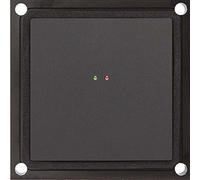 TCS - Modulo di Controllo della Porta Tastiera BCM ami12420 - 0080