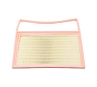 TCVCTNMZTX Filtro Aria Motore F261109111AC Adatto For Jetour T2 X70 C-DM PHEV 1.5T L6 L7 L9 T1 2023 2024 2025 Accessori For Auto For La Pulizia Del Flusso Filtro aria per automobili