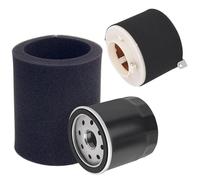 TCVCTNMZTX Filtro Aria, Olio E Carburante For Motocicletta For KAWASAKI KAF400 Mule 600 610 4x4 XC SE KAF 400 11029-1004 11013-0037 Filtro dell'olio(No Fuel Filter)