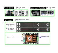 TDA7498E Scheda amplificatore di potenza audio 220W x1 Modulo a canale