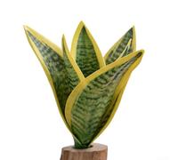TDCuizent Pianta di serpente artificiale realistica in PVC finto Sansevieria per decorazione domestica bassa vegetazione finta per ufficio, soggiorno, camera da letto, bagno, 19 cm (verde)