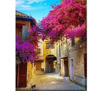 TDFERAN 40x50 Diamond Paesaggio Scena di Strada, Bellissimi Fiori in Via della Città Pittura Diamante Paesaggio Pittura Art Paesaggio Punto Croce Kit Completo per Decorazione Della Parete