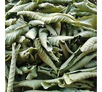 Tè Alle Erbe Sfuso Biologico Di Foglie Di Guava Tea Alle Erbe Speciali Cibo Verde Tè Alle Aromatizzato Alla Frutta Mista Tea Profumato Con Controllo Dello Zucchero Movimento Fluido (500g)