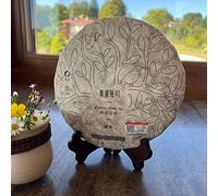 Tè Bianco Biologico Wind and Moon Wu Liang 357gr - Tea Soul