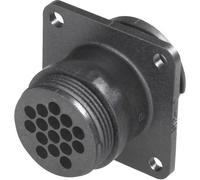 TE Connectivity 182917-1 Connettore circolare Presa dritta Tot poli: 4 Serie (