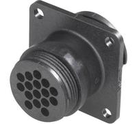 TE Connectivity 182922-1 Connettore circolare Spina a pannello Tot poli: 9 Ser