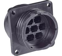 TE Connectivity 206137-1 Connettore circolare Presa dritta Tot poli: 7 Serie (