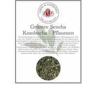 Tè Verde Sencha Kombucha 1 KG - Prugne