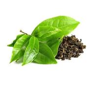 Tè verde Sencha Leaf Premium Japan Style Bio Organic Camellia Sinensis 50 g 1 kg