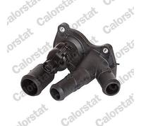 TE7090.98J CALORSTAT by Vernet Termostato, Refrigerante per FORD