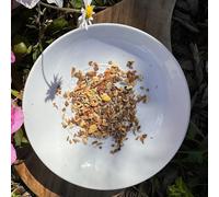 Tea Soul | Tisana Biologica Vata in Bustine Piramidali 30g - Cannella, Zenzero, Finocchio, Limone, Liquirizia e Cardamomo - Ideale per Infusioni - Prodotto Biologico