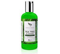 Tea Tree Shampoo anti forfora - [Prodotto nel Regno Unito] Shampoo terapeutico antimicotico dell'albero del tè per cuoio capelluto secco, prurito squamoso e capelli forfora per uomini e donne, 250 ml