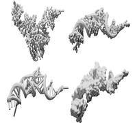 Teaching Model Kit for Biochemistry tRNA - Multi-Style Educational Set