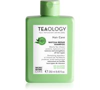 Teaology Cura Cura dei capelli Shampoo riparatore al Matcha 250 ml