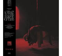 Knocked Loose A Tear in the Fabric of Life (Vinyl LP) (PRESALE 25/07/2025)