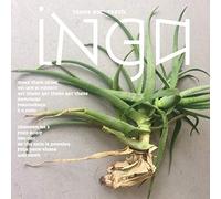 tears and teeth (red vinyl)