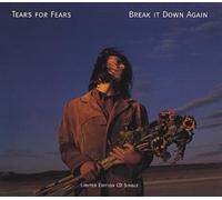 Tears For Fears - Break it down again (incl. Karaoke) By Tears For Fears (0001-01-01)