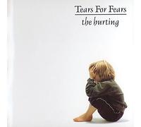 7237868 Audio Cd Tears For Fears - The Hurting