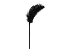 Teazers Easytoys Fetish Collection Bacchetta con Piume, Nero - 46 g