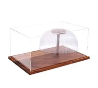 Teca Espositiva per Cappellini Organizer in acrilico 20x30x15cm con base in | Espositore da tavolo per trucker Fan salotto casa scrivania scaffale stand fiera negozio