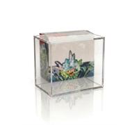 Teca in Acrilico Magnetica compatibile con Display Box 36 Buste - Case Protettivo Premium per Carte Collezionabili - Anti UV - Spessore 5mm - Chiusura Magnetica - Protezione Rigida Trasparente