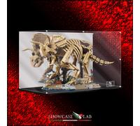 TECA IN PLEXIGLASS ACRILICO-SHOWCASE-TECA PER SET LEGO®77985 FOSSILI DI DINOSAUR